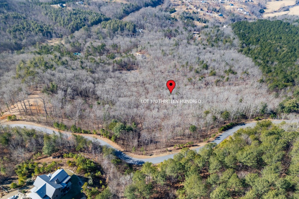 Lot 370 Thirteen Hundred Property Photo 7