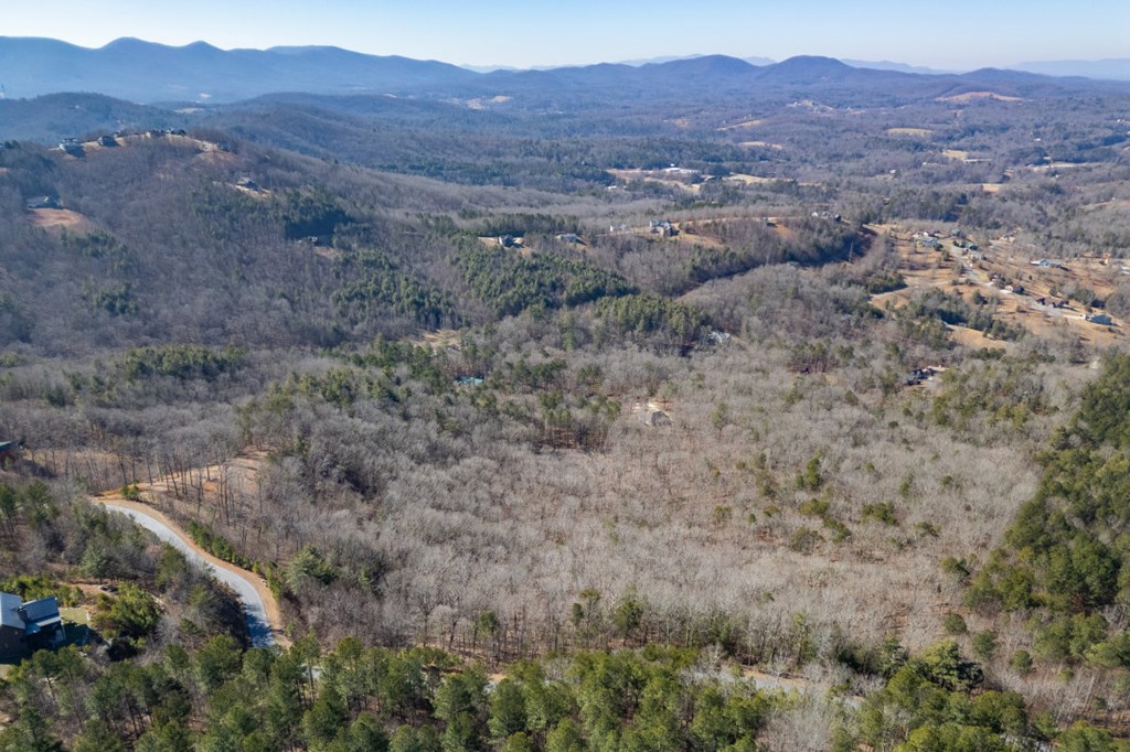 Lot 370 Thirteen Hundred Property Photo 8