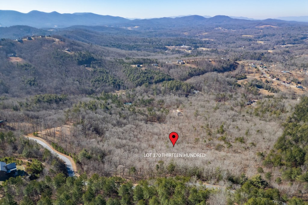 Lot 370 Thirteen Hundred Property Photo 9