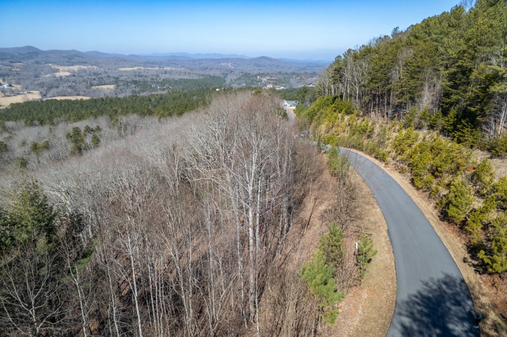 Lot 370 Thirteen Hundred Property Photo 10