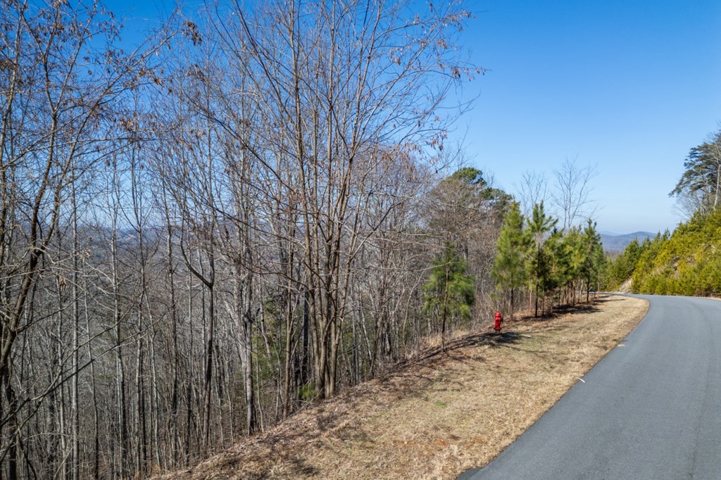 Lot 370 Thirteen Hundred Property Photo 11