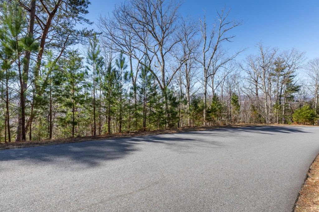 Lot 370 Thirteen Hundred Property Photo 12