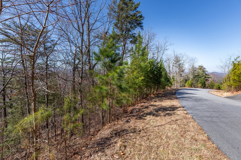Lot 370 Thirteen Hundred Property Photo 13