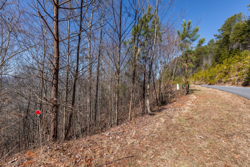 Lot 370 Thirteen Hundred Property Photo 14