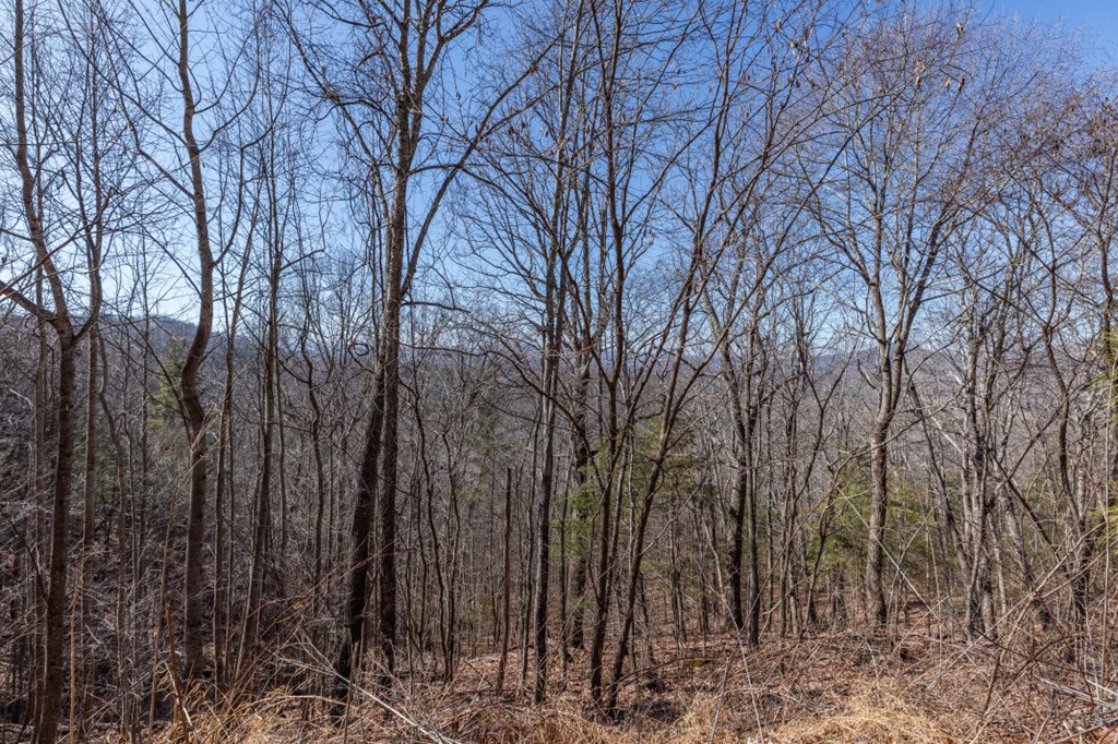 Lot 370 Thirteen Hundred Property Photo 15