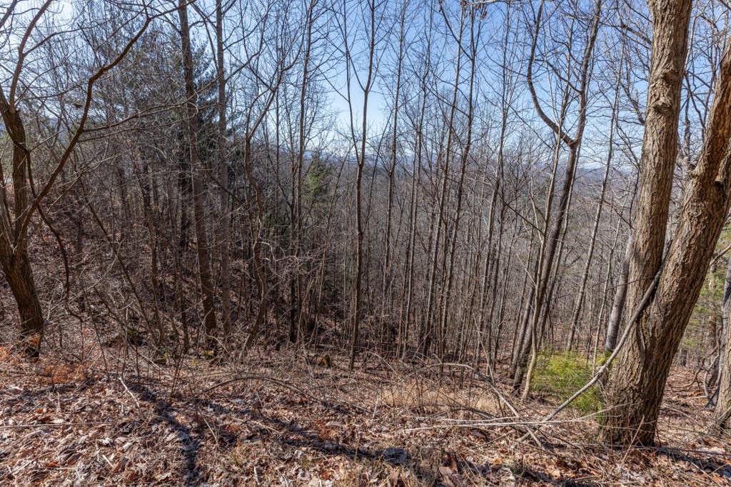 Lot 370 Thirteen Hundred Property Photo 16