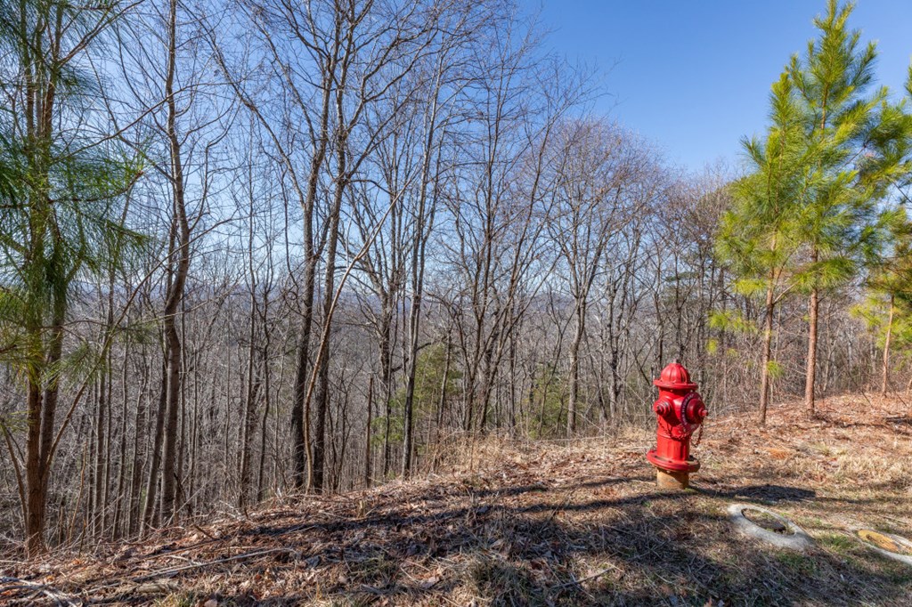 Lot 370 Thirteen Hundred Property Photo 17