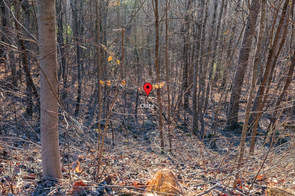 Lot 370 Thirteen Hundred Property Photo 19