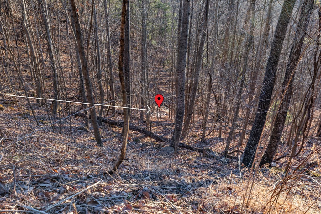 Lot 370 Thirteen Hundred Property Photo 20