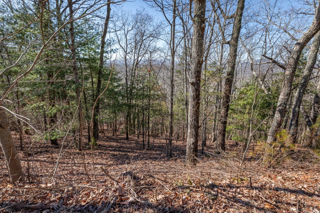 Lot 370 Thirteen Hundred Property Photo 21