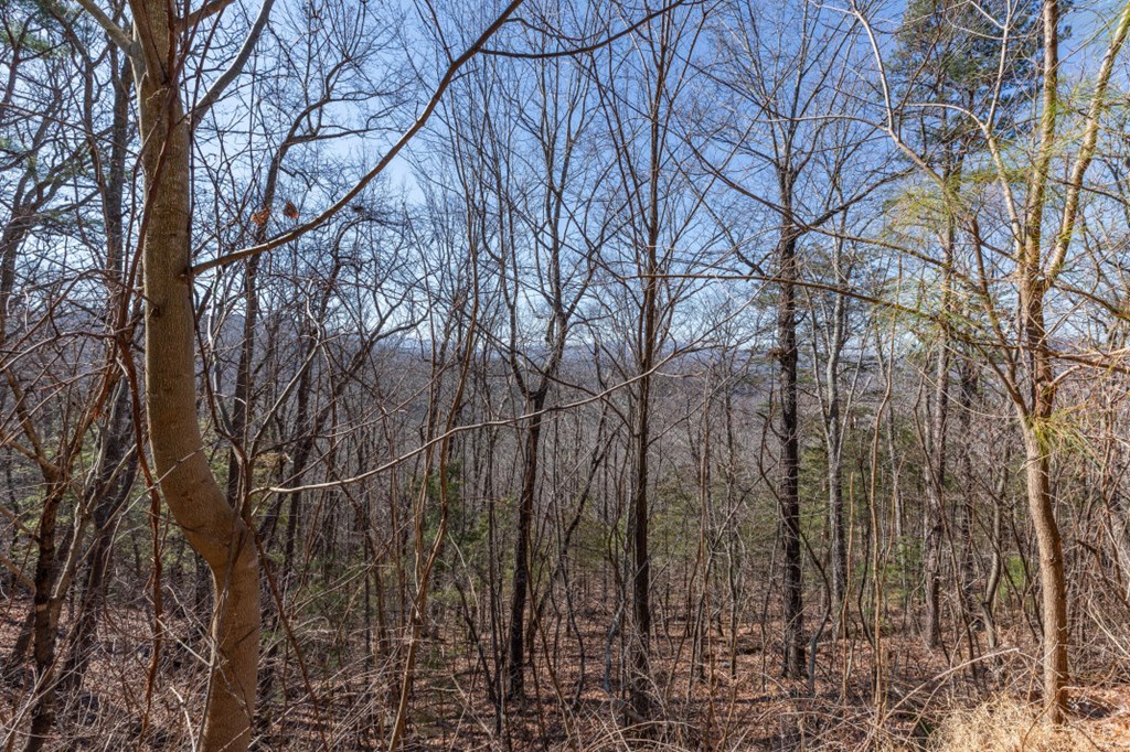 Lot 370 Thirteen Hundred Property Photo 22