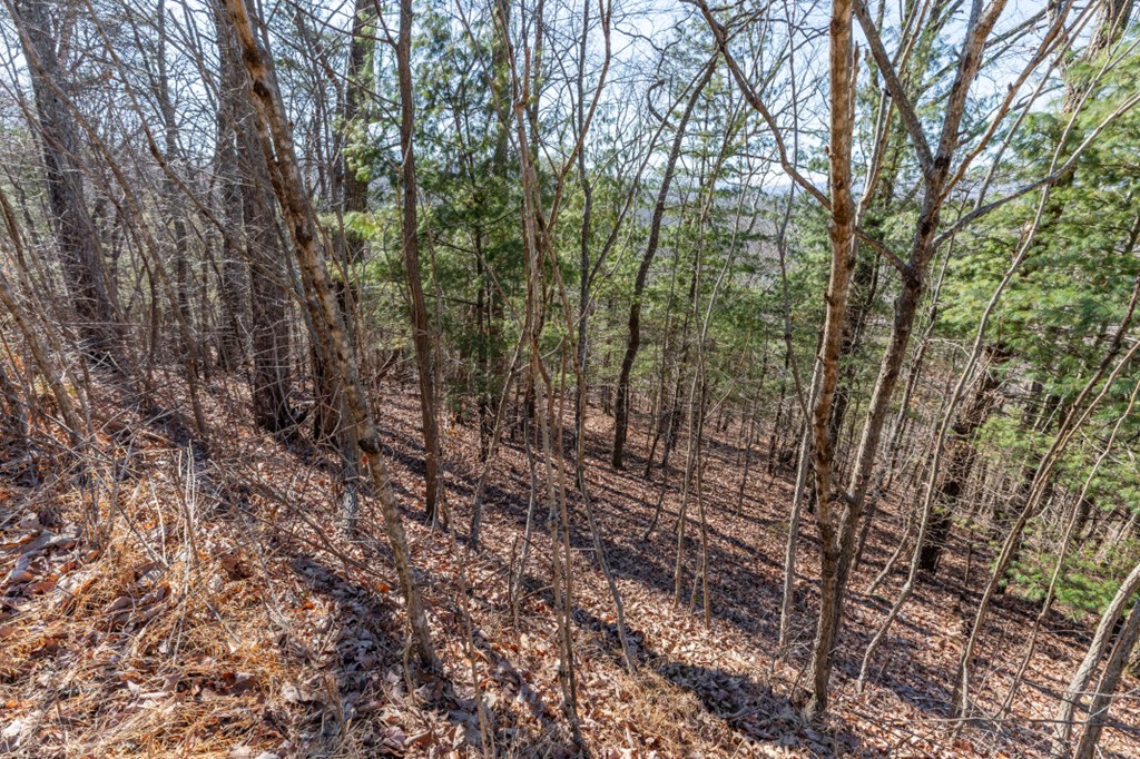 Lot 370 Thirteen Hundred Property Photo 23