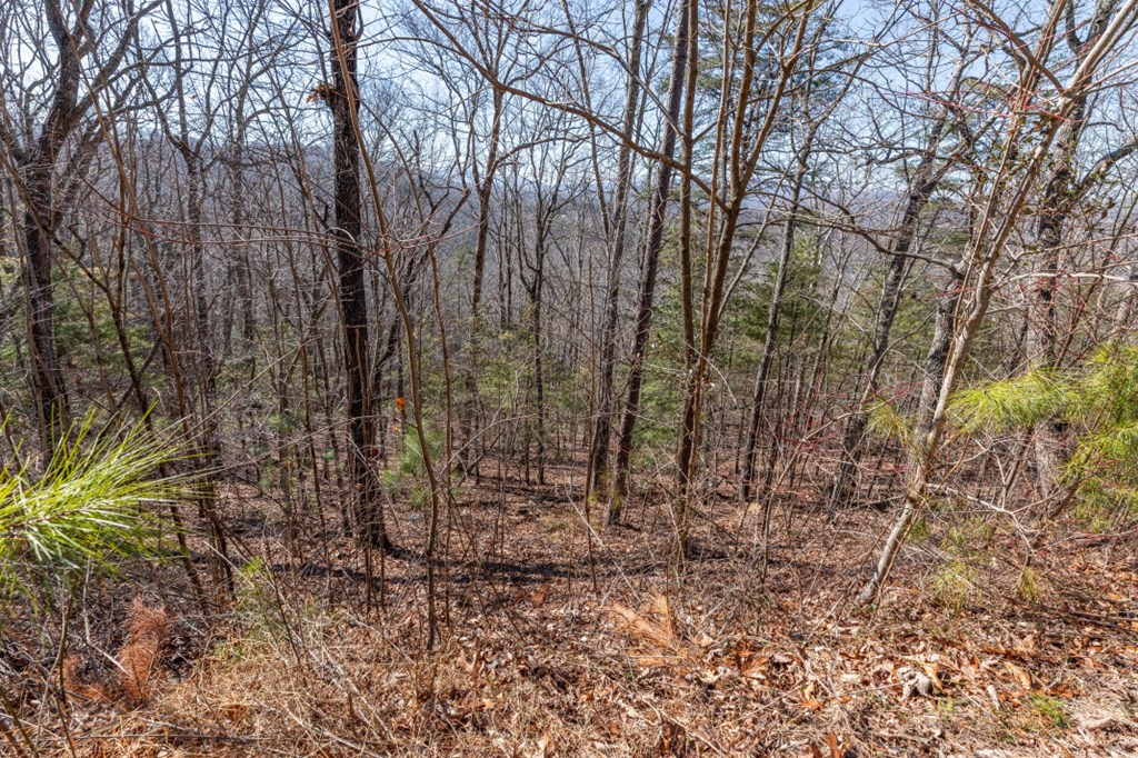 Lot 370 Thirteen Hundred Property Photo 24