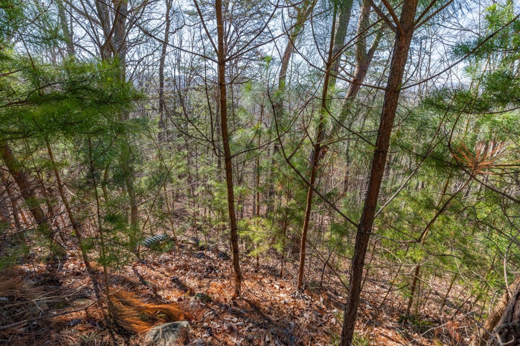 Lot 370 Thirteen Hundred Property Photo 25