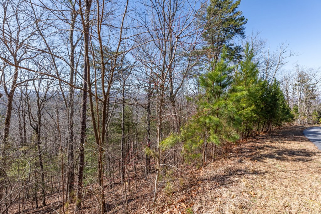 Lot 370 Thirteen Hundred Property Photo 26