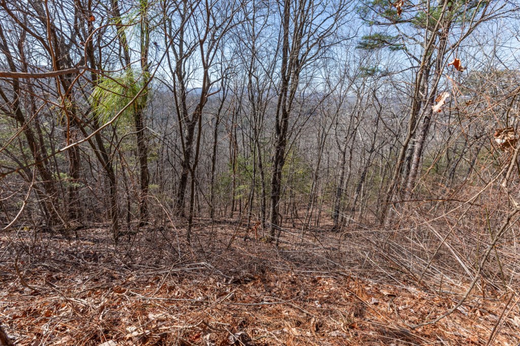 Lot 370 Thirteen Hundred Property Photo 27