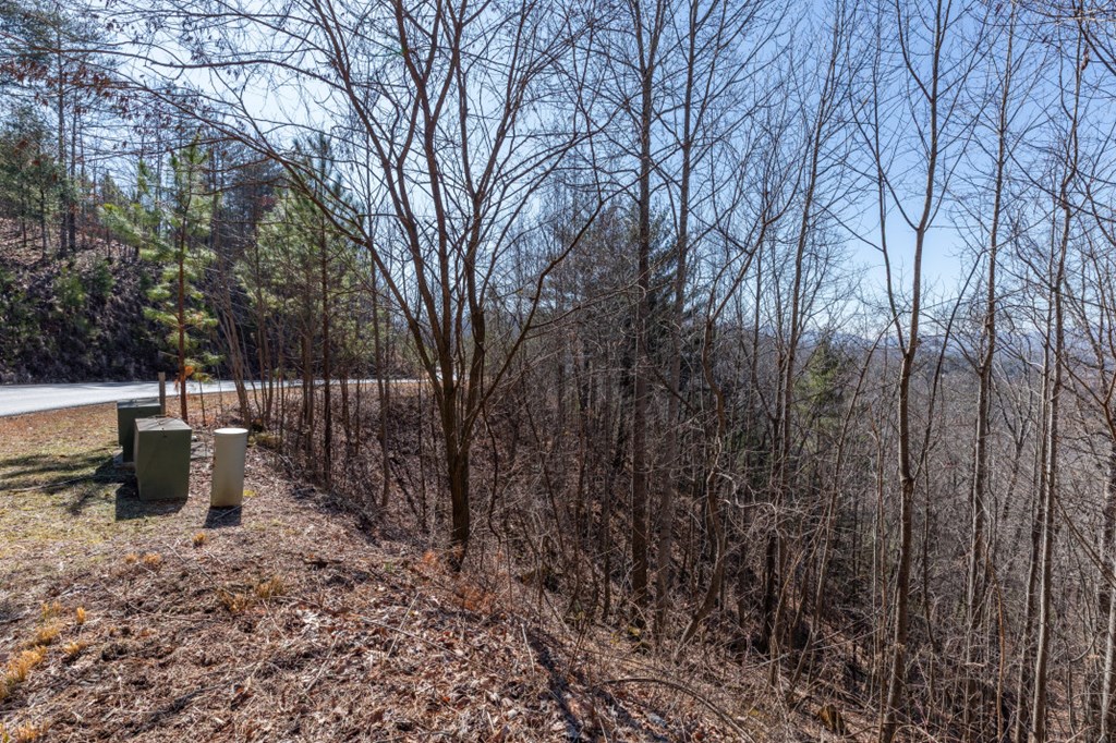 Lot 370 Thirteen Hundred Property Photo 28