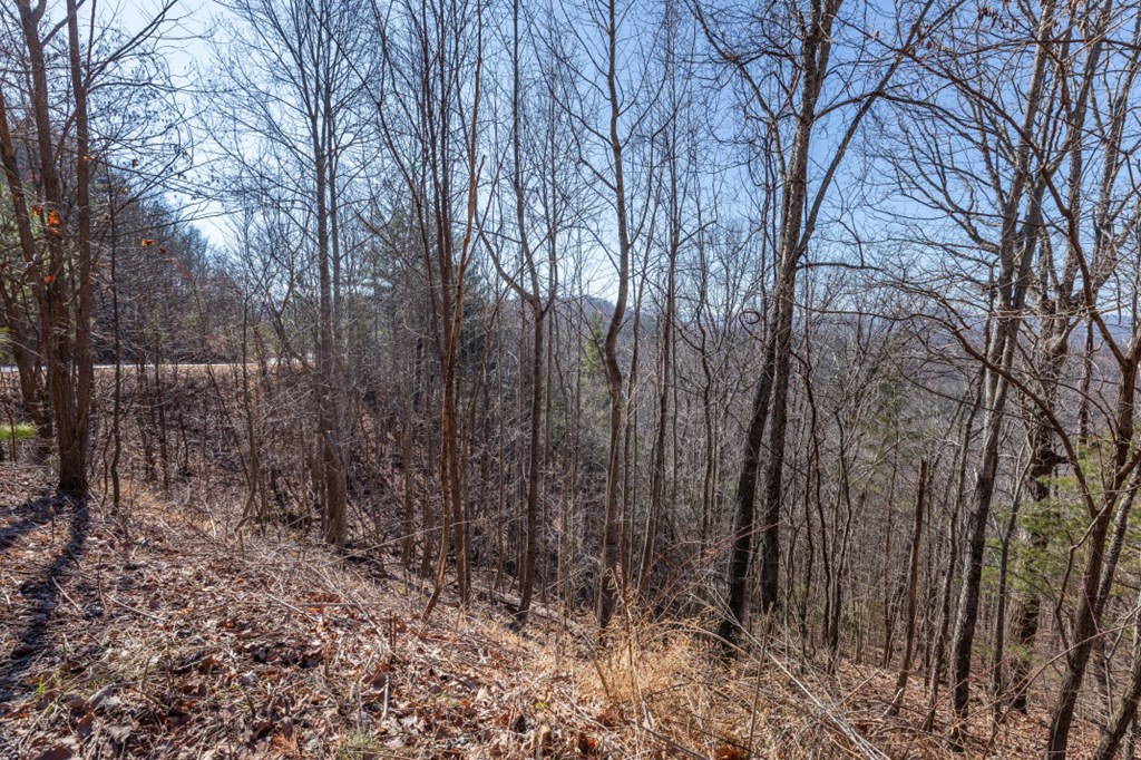 Lot 370 Thirteen Hundred Property Photo 29
