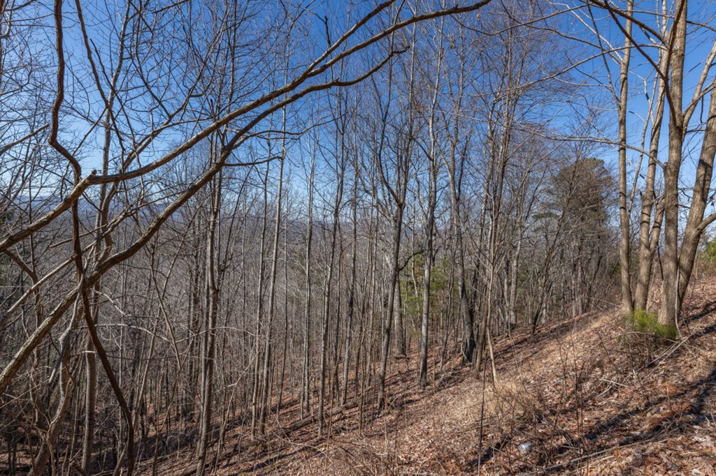 Lot 370 Thirteen Hundred Property Photo 30