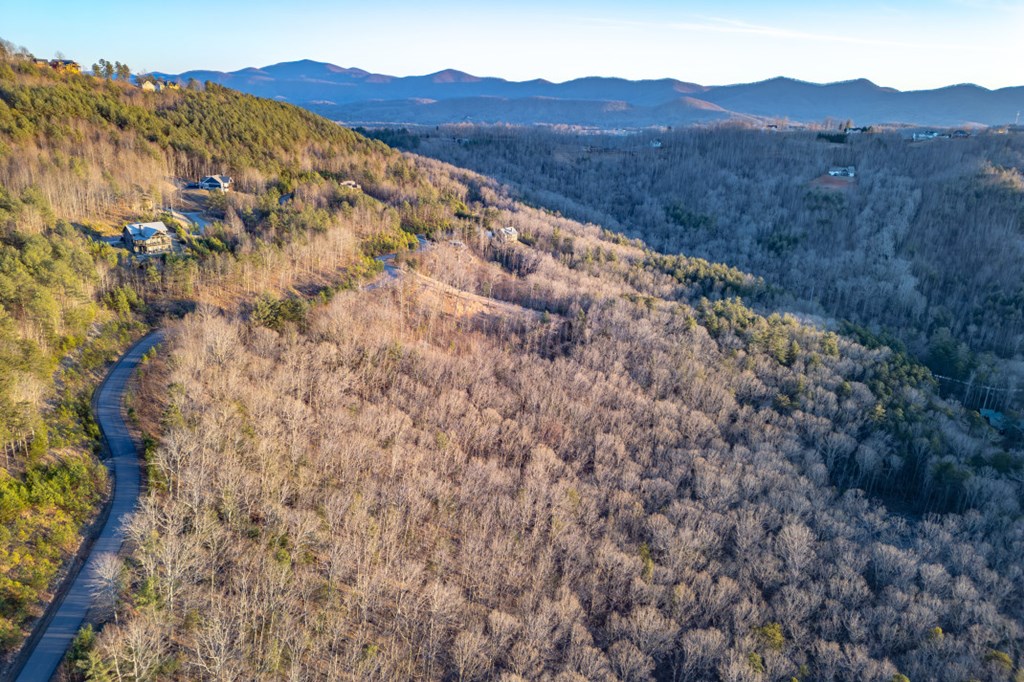 Lot 370 Thirteen Hundred Property Photo 31