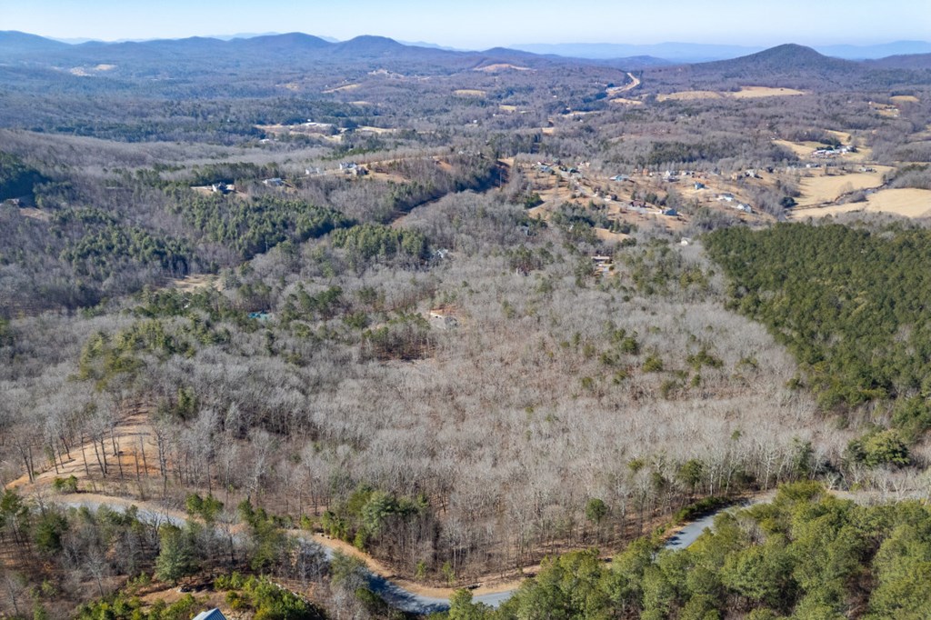 Lot 370 Thirteen Hundred Property Photo 32
