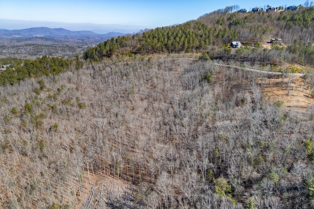 Lot 370 Thirteen Hundred Property Photo 33