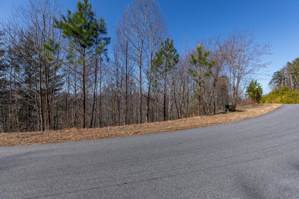 Lot 370 Thirteen Hundred Property Photo 40