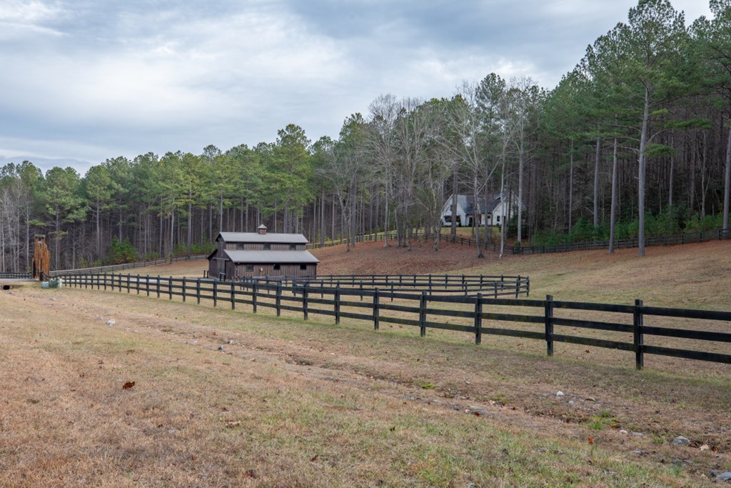 Lot 370 Thirteen Hundred Property Photo 56