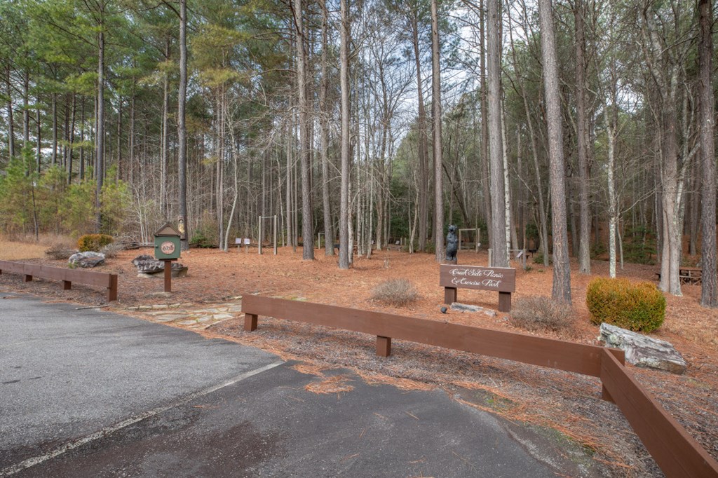 Lot 370 Thirteen Hundred Property Photo 60