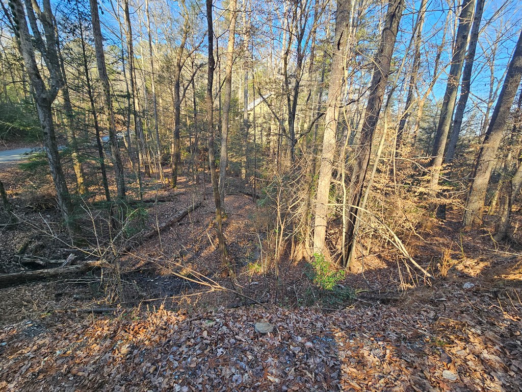 Lt 1620 Nexus Drive Property Photo 4