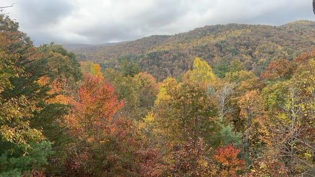 101 Falling Rock Road Property Photo 52