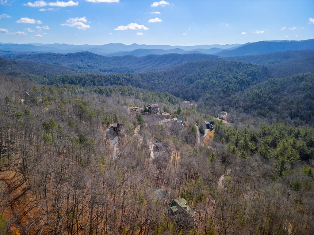 101 Falling Rock Road Property Photo 54