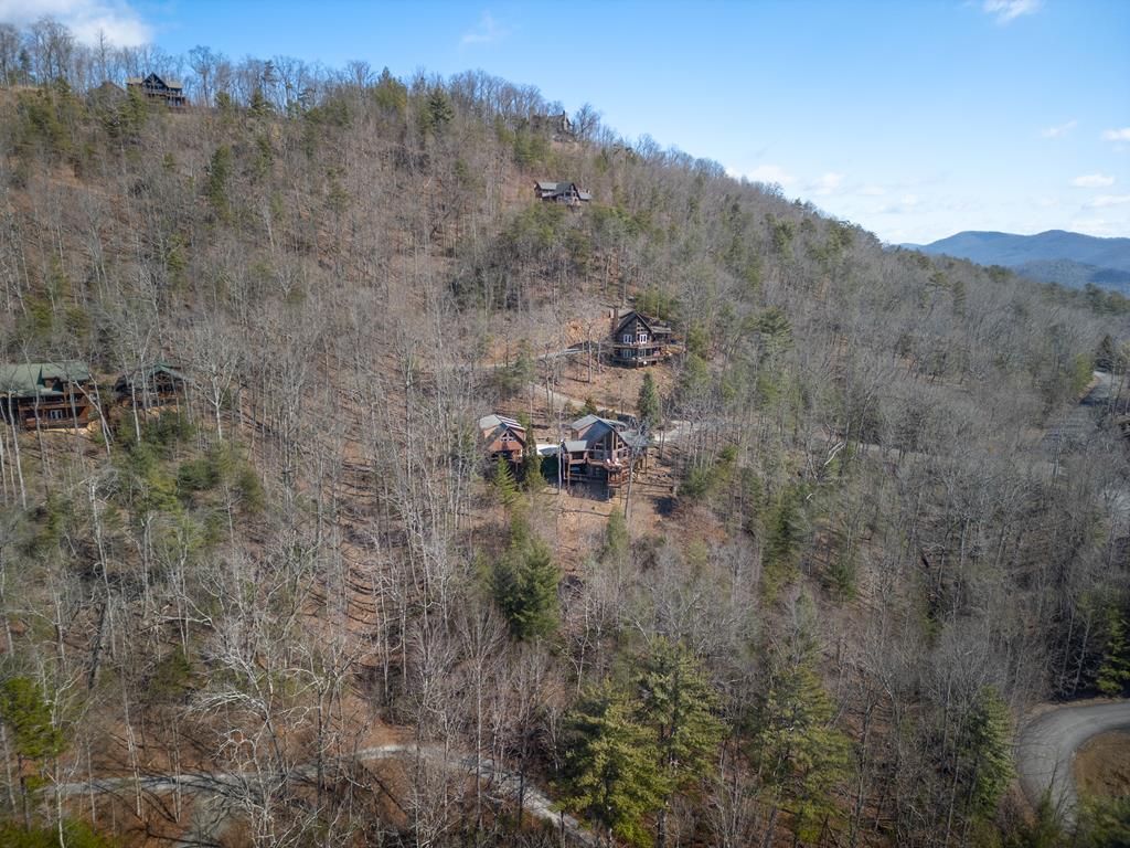 101 Falling Rock Road Property Photo 58