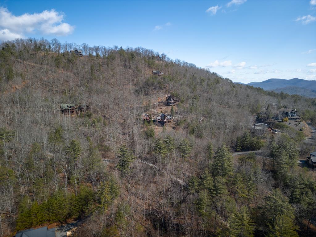101 Falling Rock Road Property Photo 59