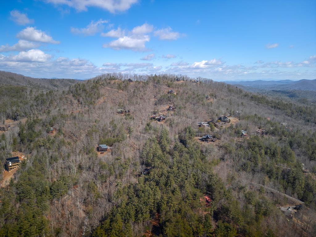 101 Falling Rock Road Property Photo 60