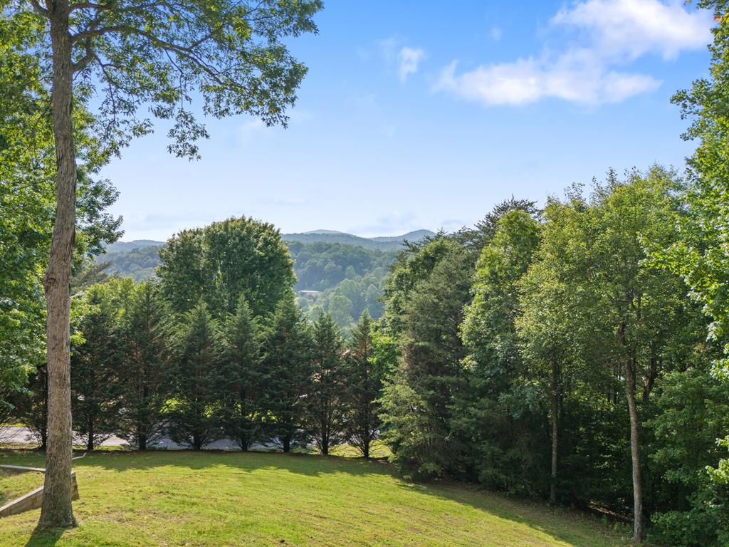 115 Wildcat Run Road Property Photo 4