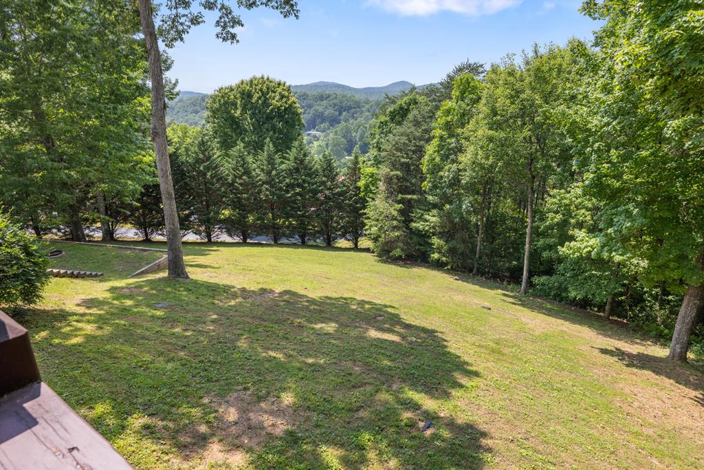 115 Wildcat Run Road Property Photo 5