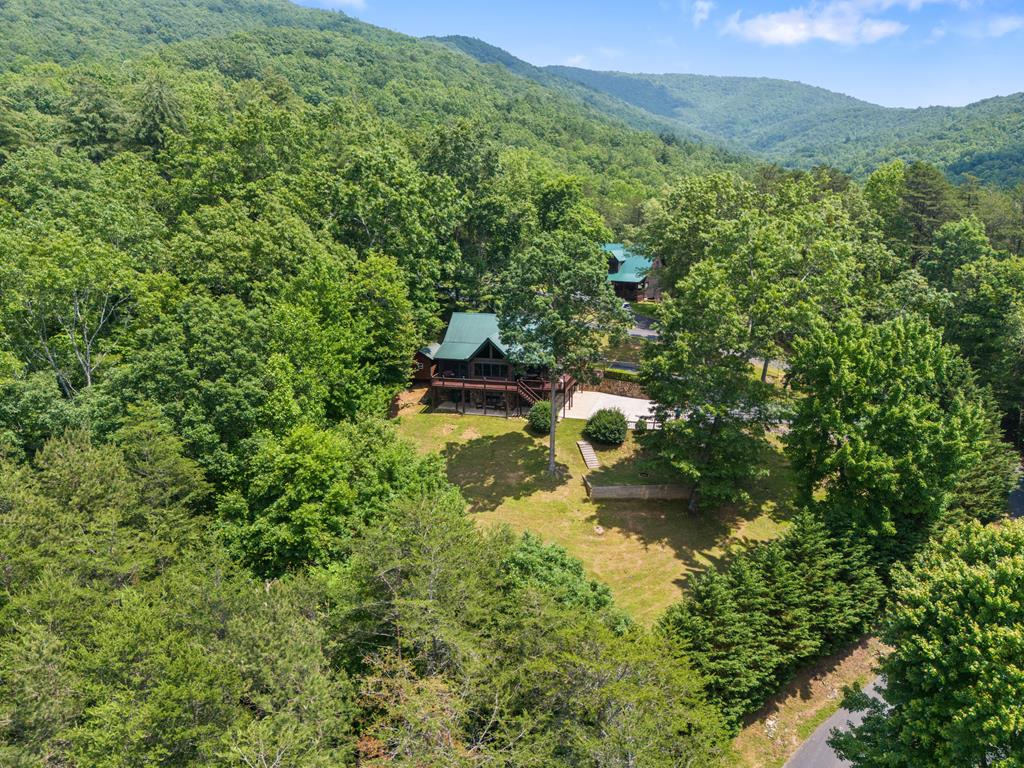 115 Wildcat Run Road Property Photo 15