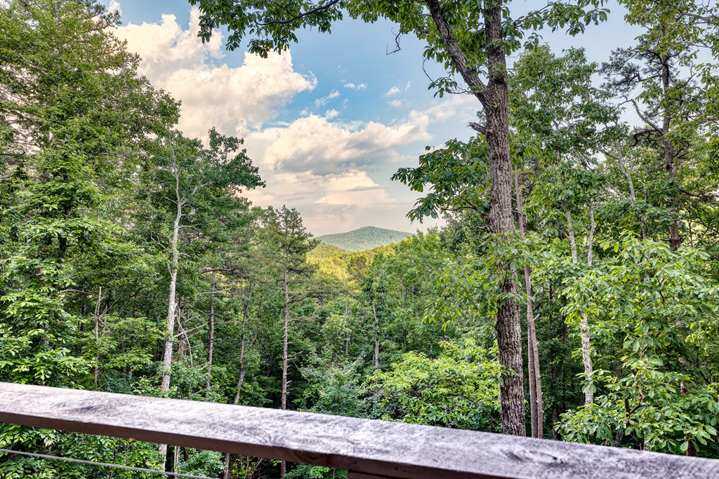 281 Raintree Bend Property Photo 49