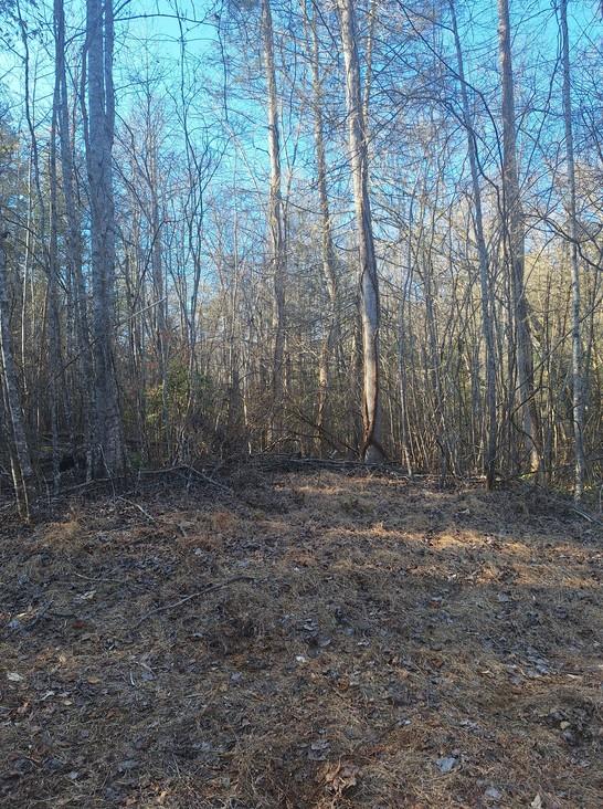 Lots Mill Creek Acres Property Photo 1