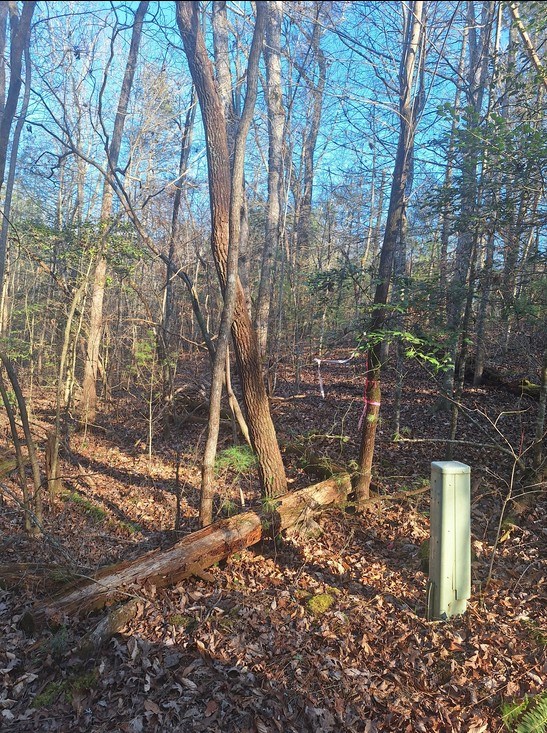 Lots Mill Creek Acres Property Photo 4