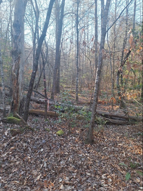 Lots Mill Creek Acres Property Photo 5