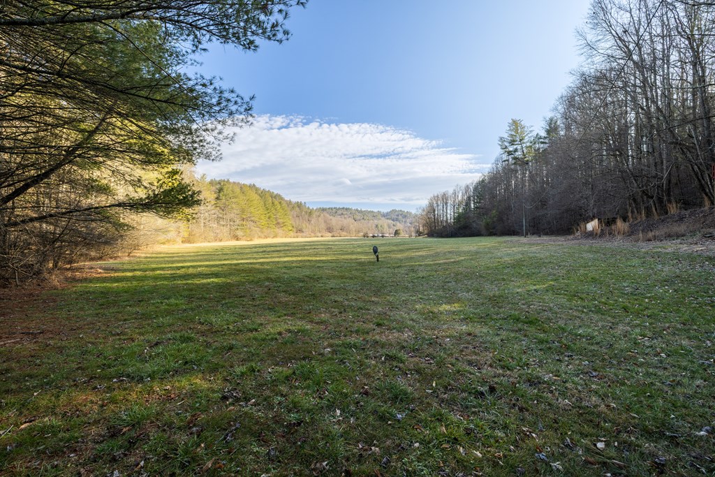 3771 Gates Chapel Road Property Photo 9