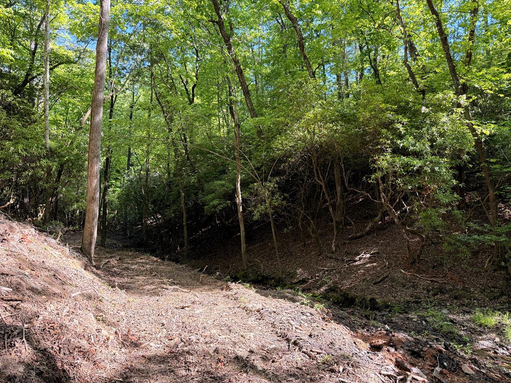 295 Mountain Laurel Ridge Property Photo 4