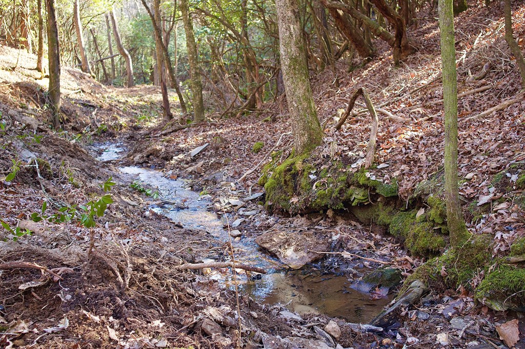 295 Mountain Laurel Ridge Property Photo 43