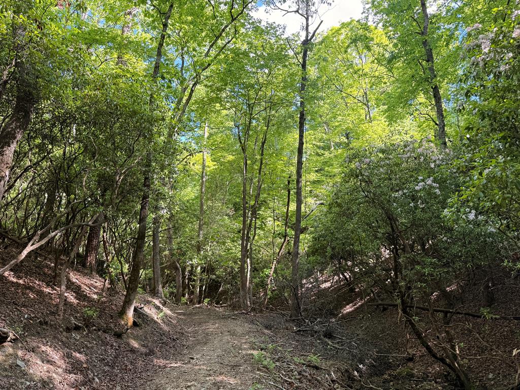 295 Mountain Laurel Ridge Property Photo 52