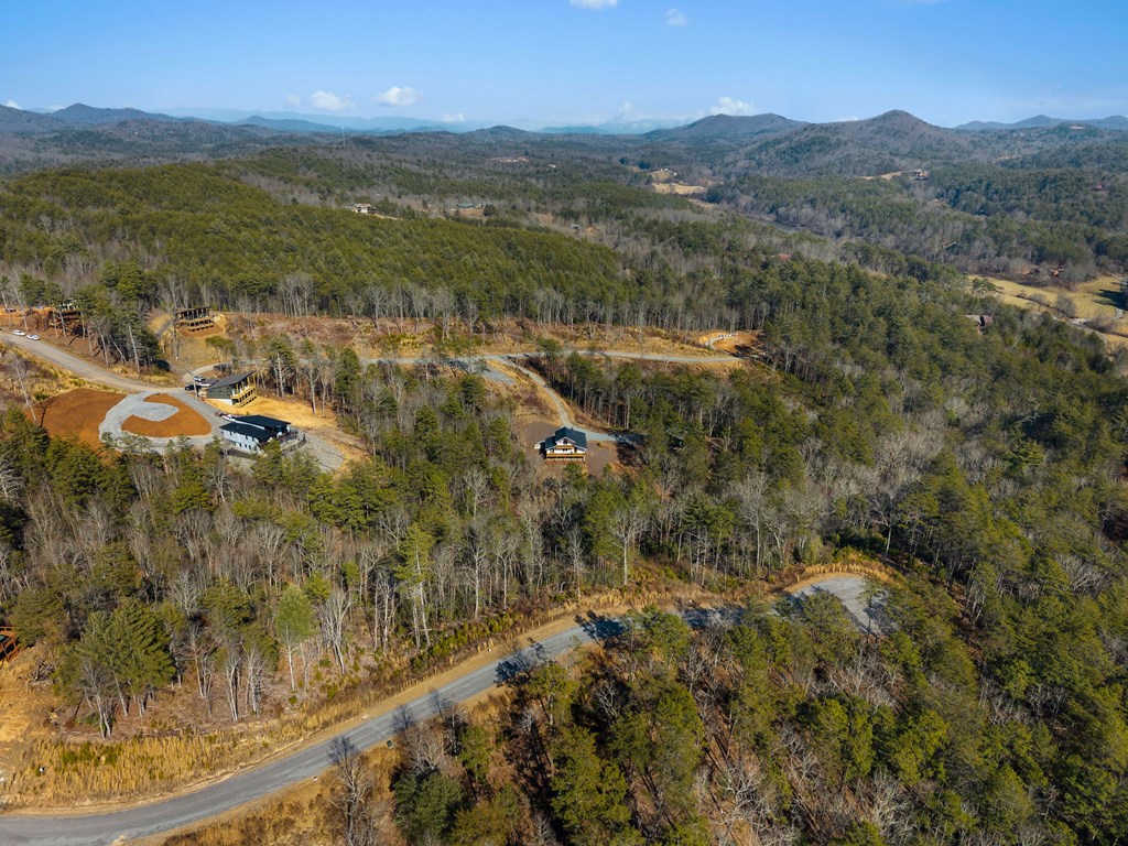 295 Mountain Laurel Ridge Property Photo 55