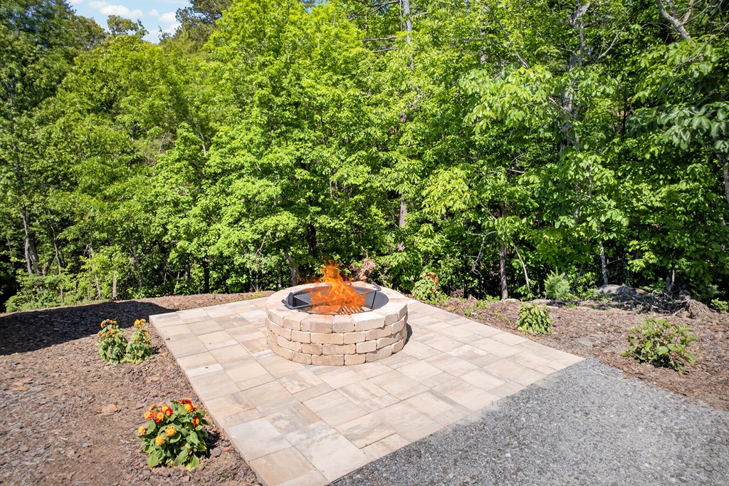 295 Mountain Laurel Ridge Property Photo 62