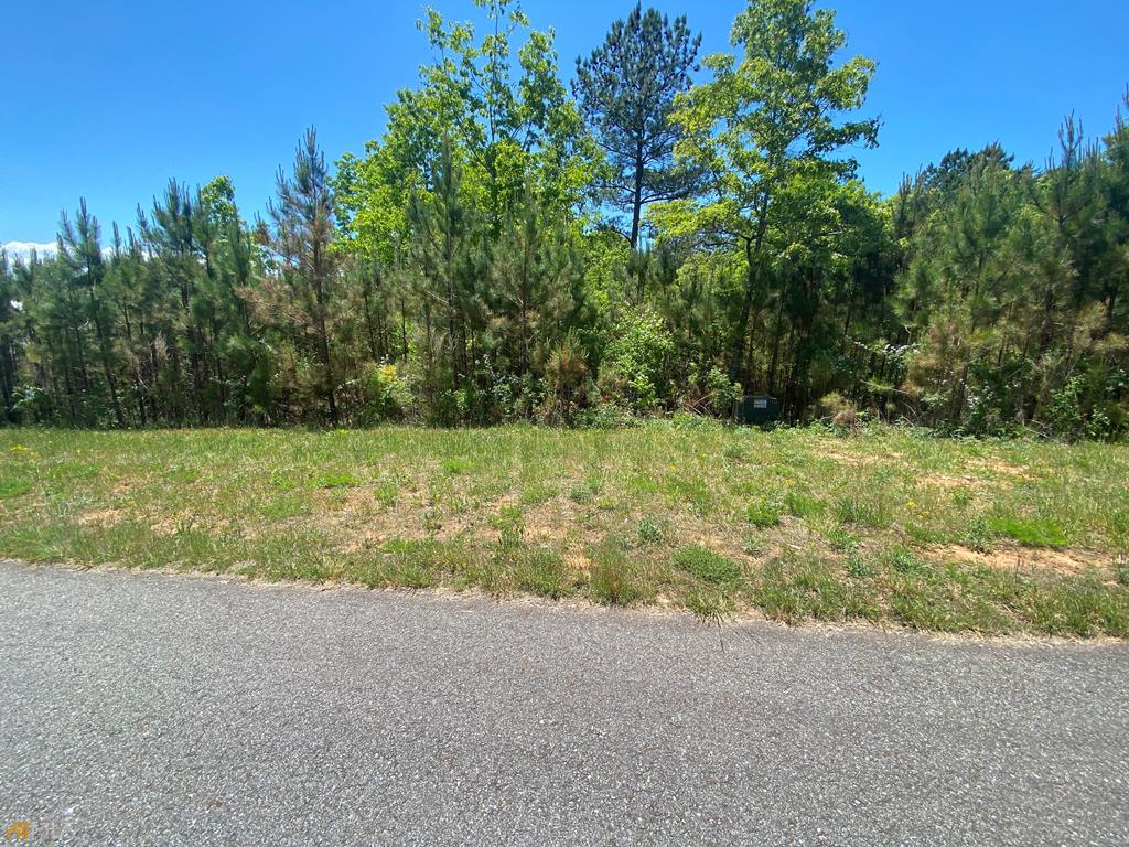 Lot 55 Village Loop Property Photo 1