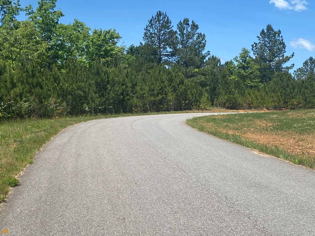 Lot 55 Village Loop Property Photo 3